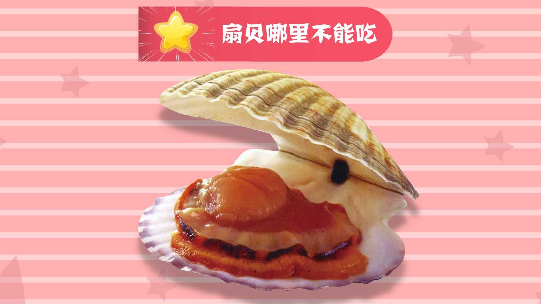 扇贝哪里不能吃