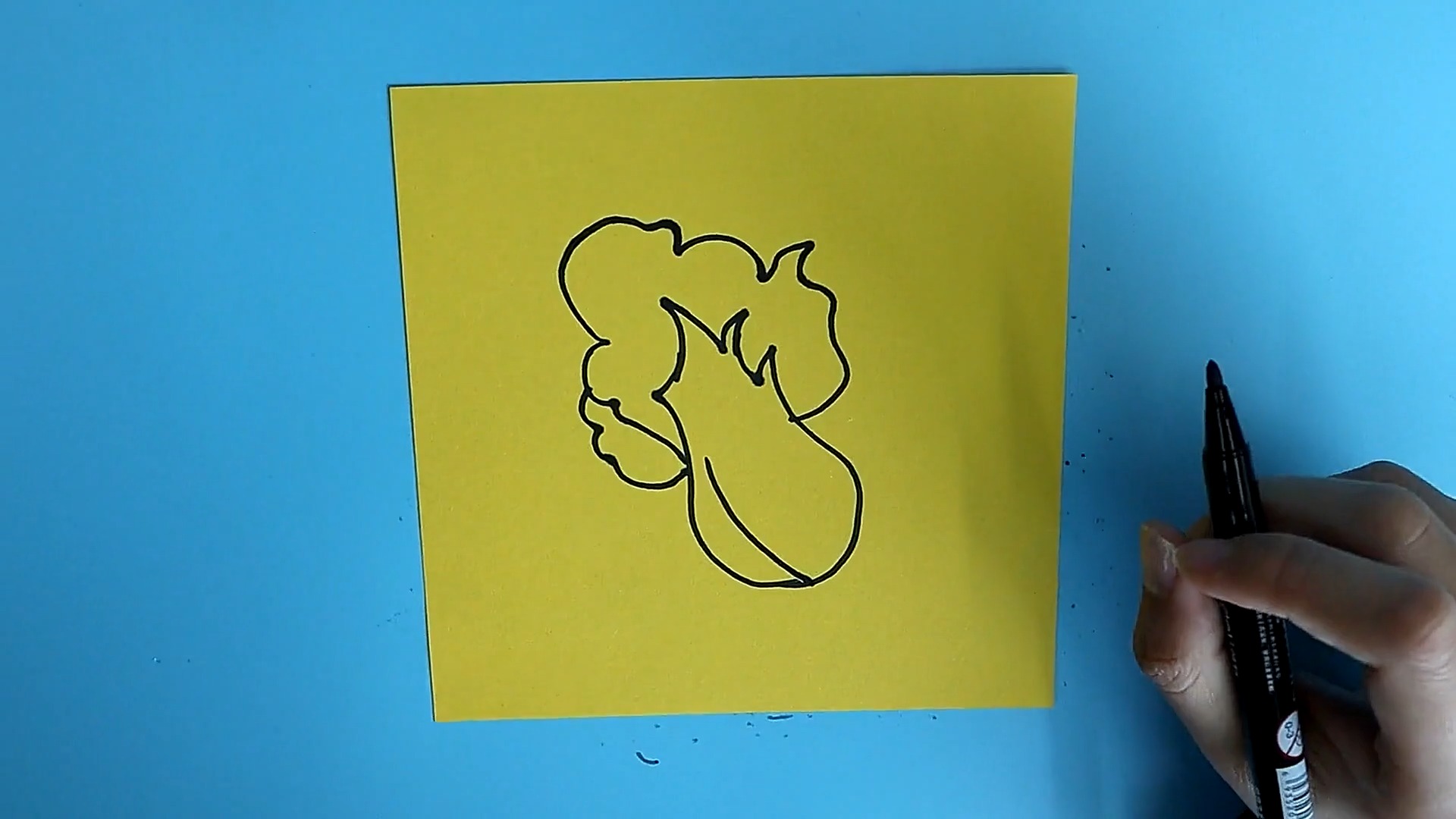 白菜的简笔画如何画?