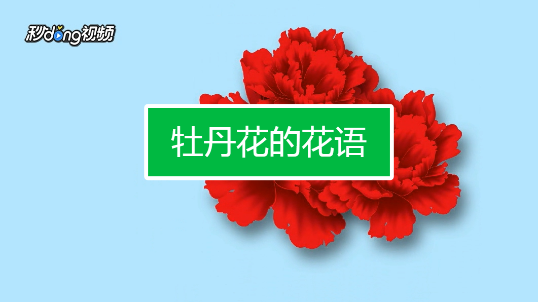 牡丹花的花语