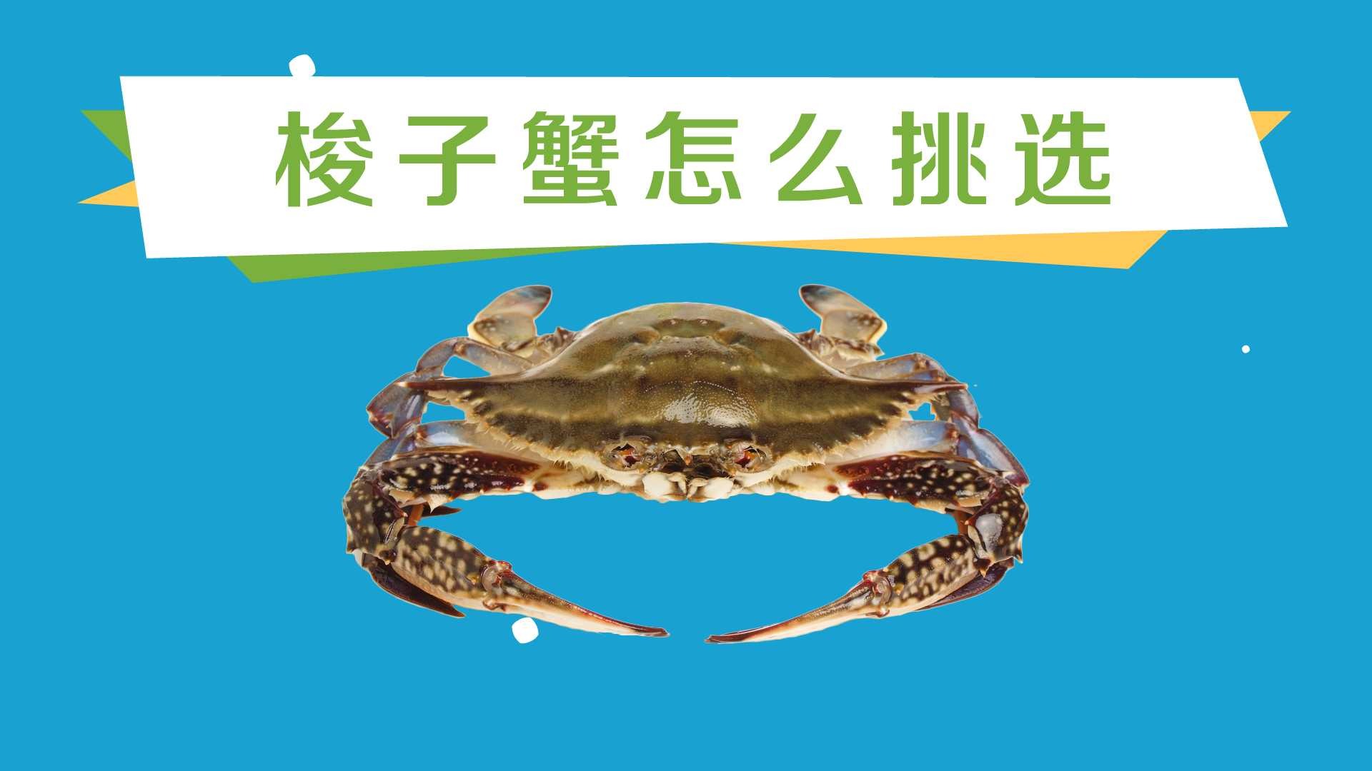 梭子蟹怎么挑选