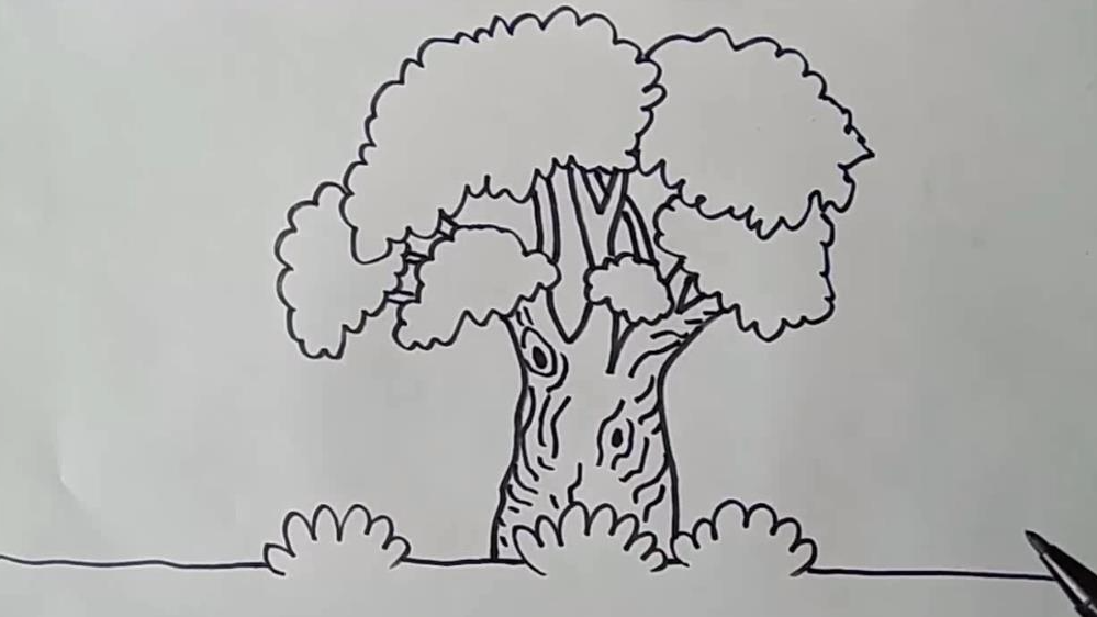 大树简笔画如何画