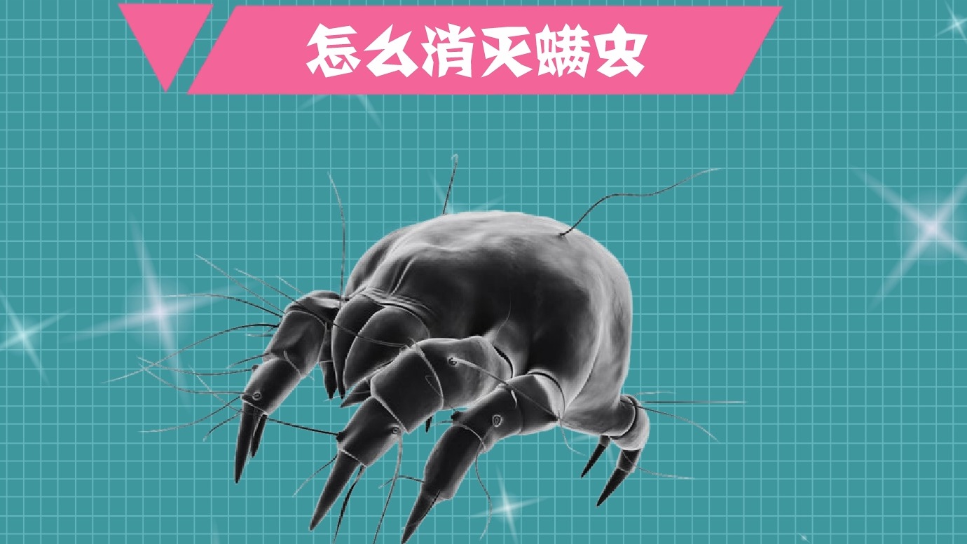 怎么消灭螨虫