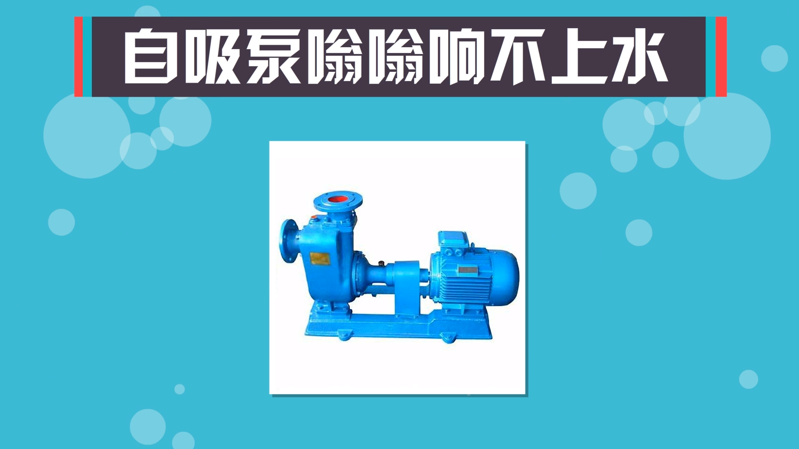 2024-2029年中國節能泵行業市場远景預測與發展趨勢研讨報告