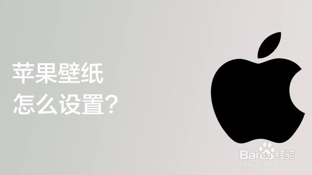 苹果11壁纸怎么设置 苹果手机动态壁纸怎么设置 百度经验