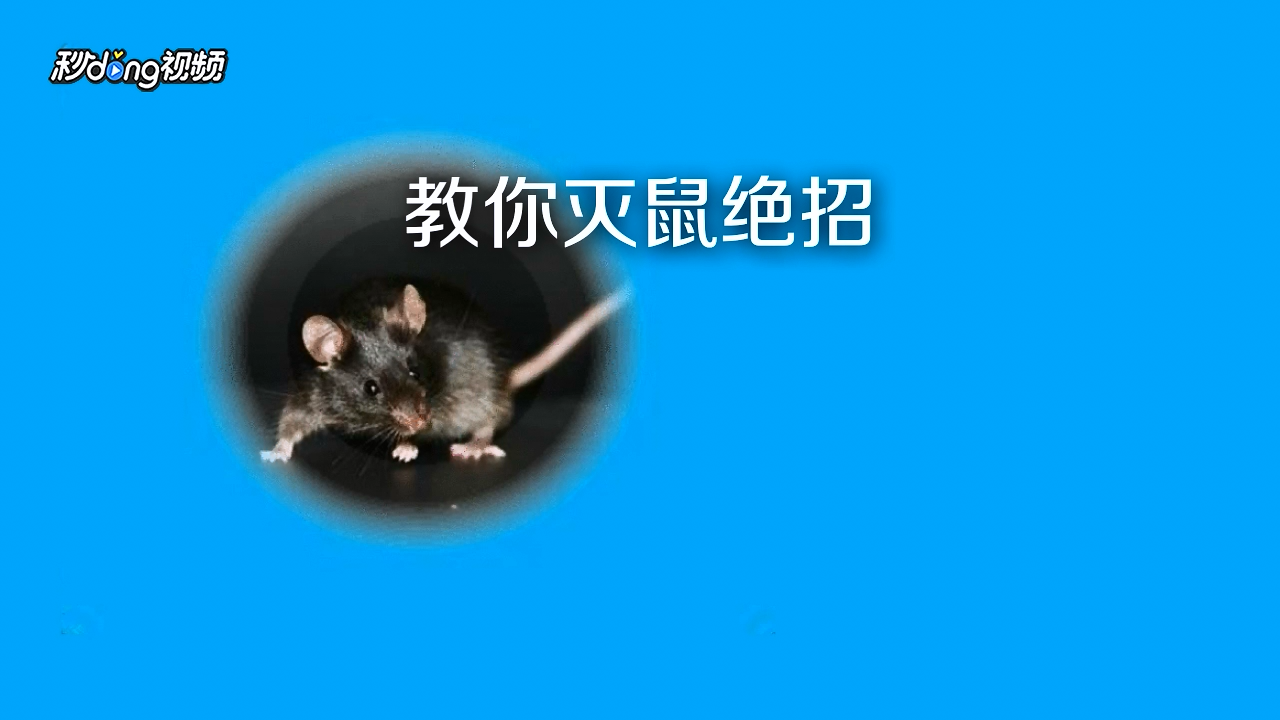 老鼠怎么消灭