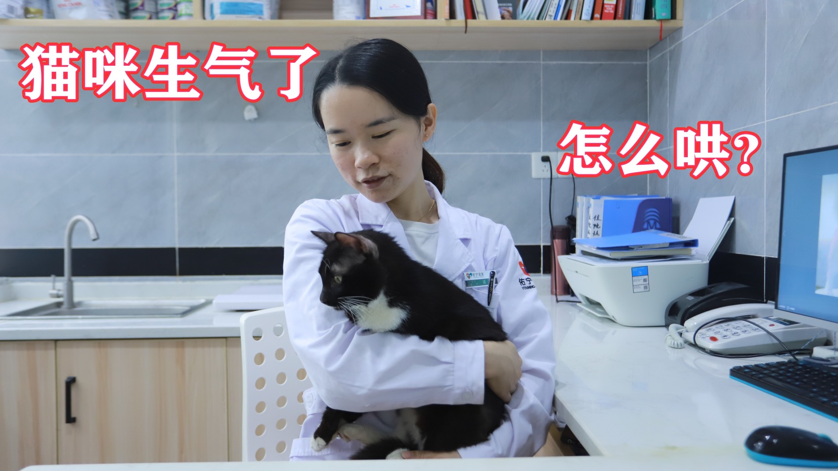 猫咪吃醋怎么哄-百度经验