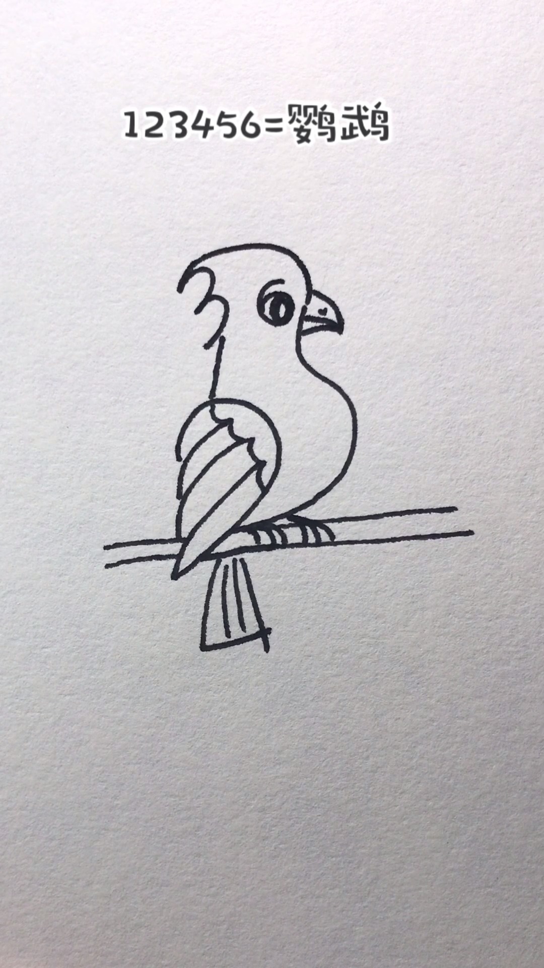 如何用数字12356画鹦鹉?