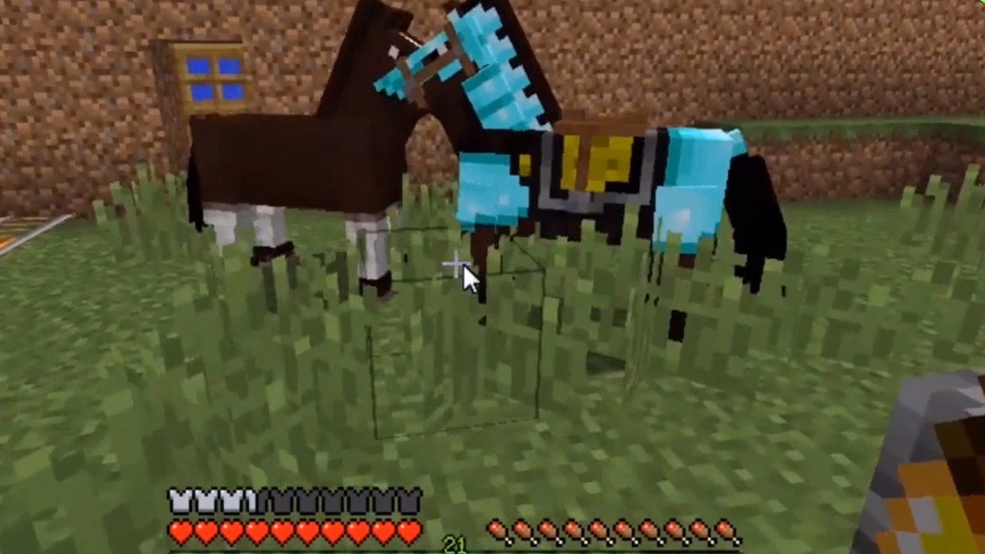 我的世界手游猫咪驯服方法一览：我的世界手游猫咪有什么特性