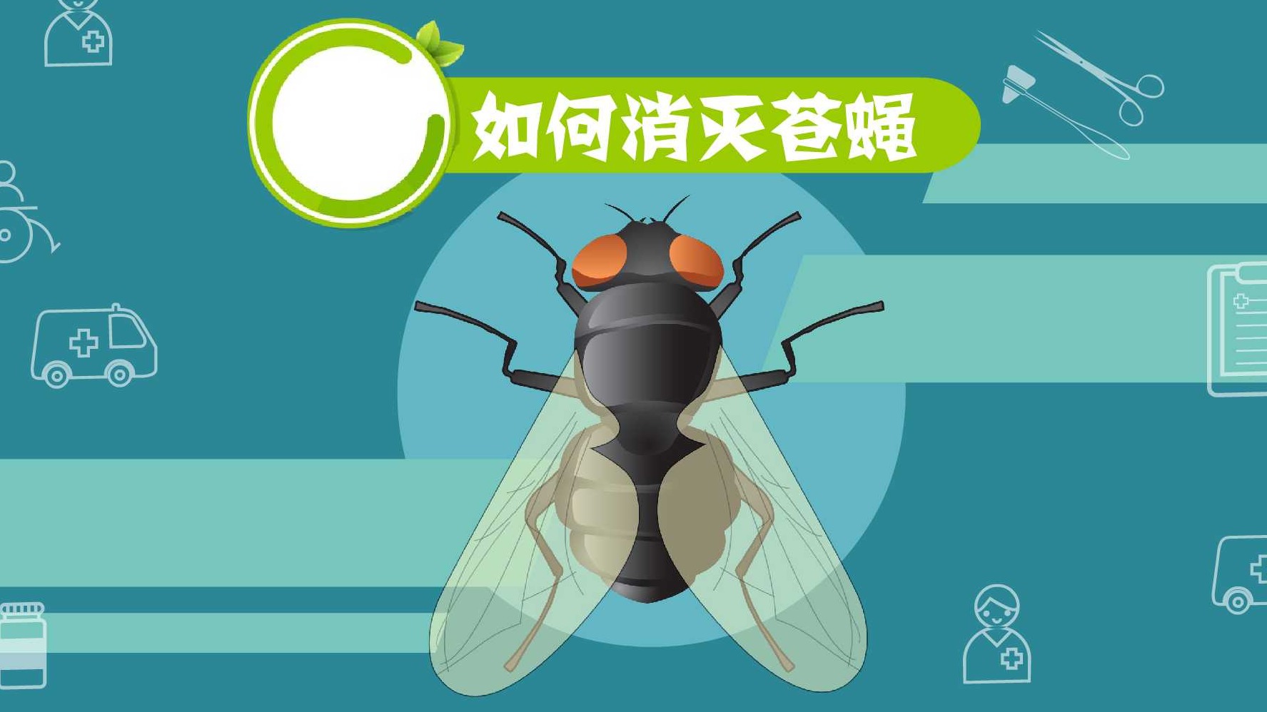 如何消灭苍蝇