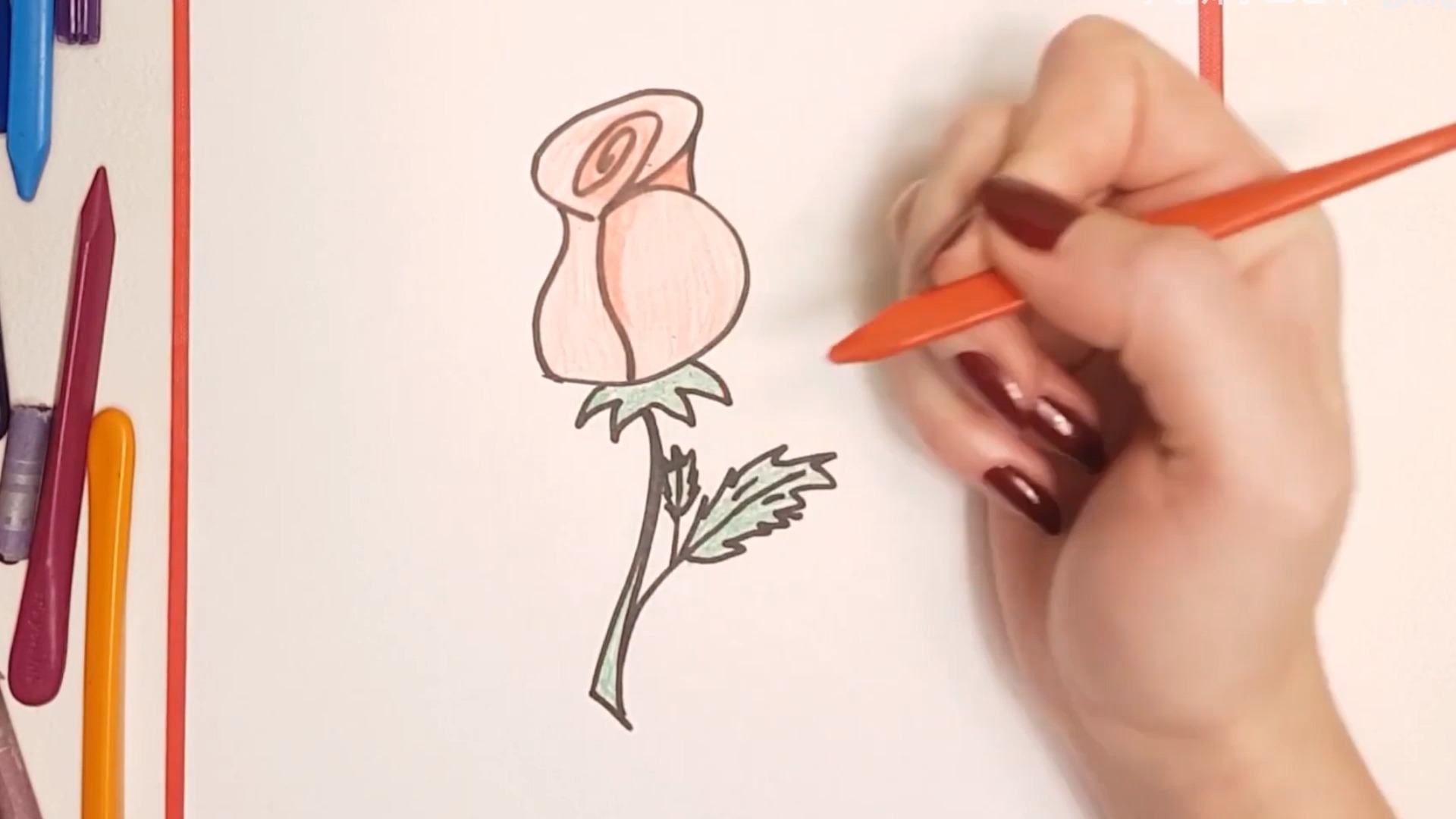 玫瑰怎么画 全网资源