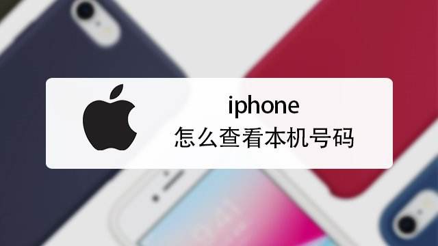 Iphone怎么查看本机号码 百度经验