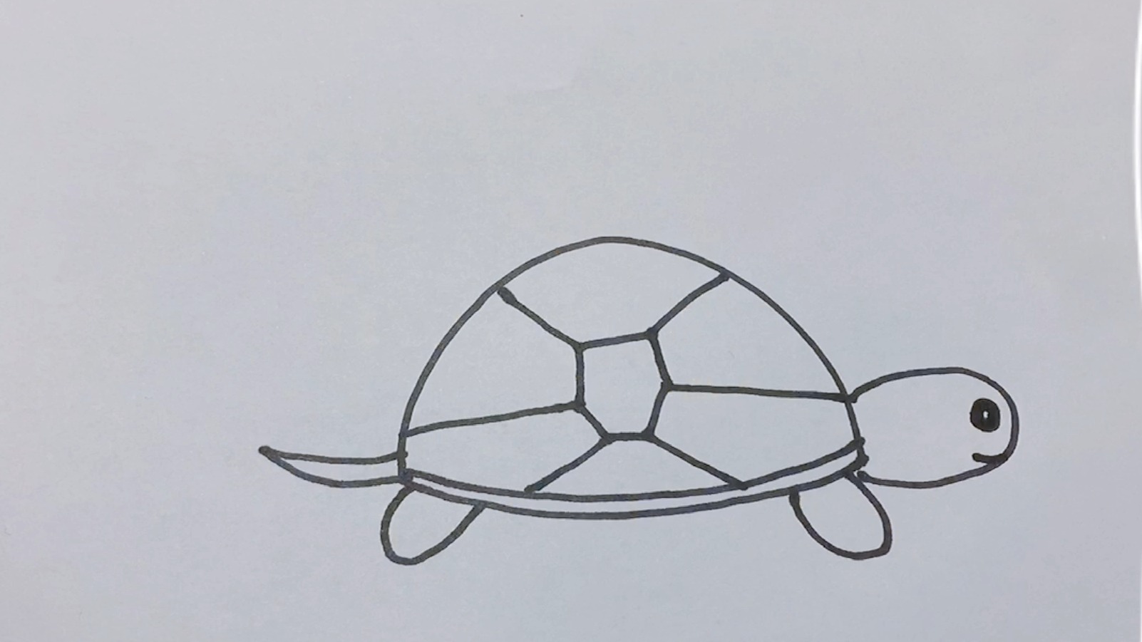 怎样画简笔画乌龟?