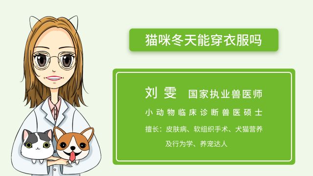 猫咪能吃多肉植物吗 百度经验 猫咪能吃多肉植物吗 百度经验