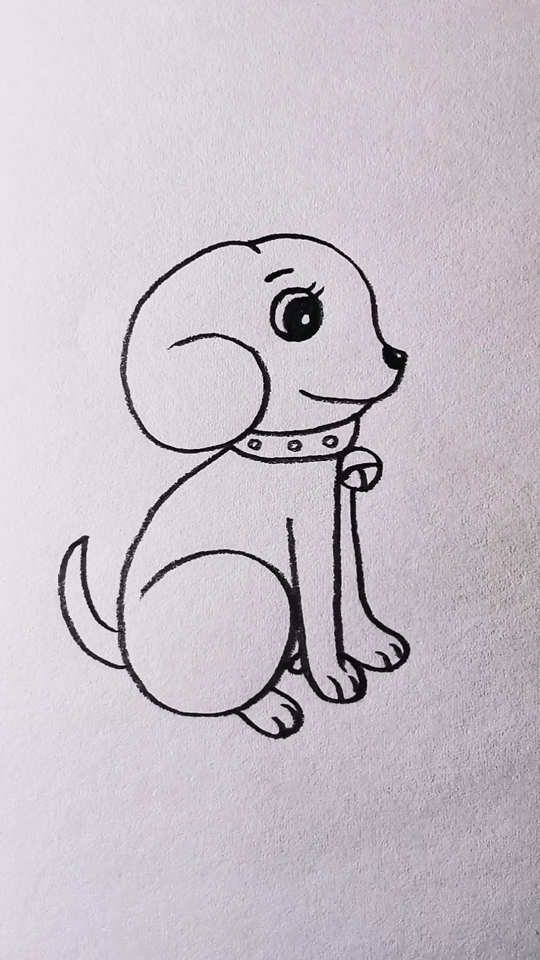 怎样用661画小狗?