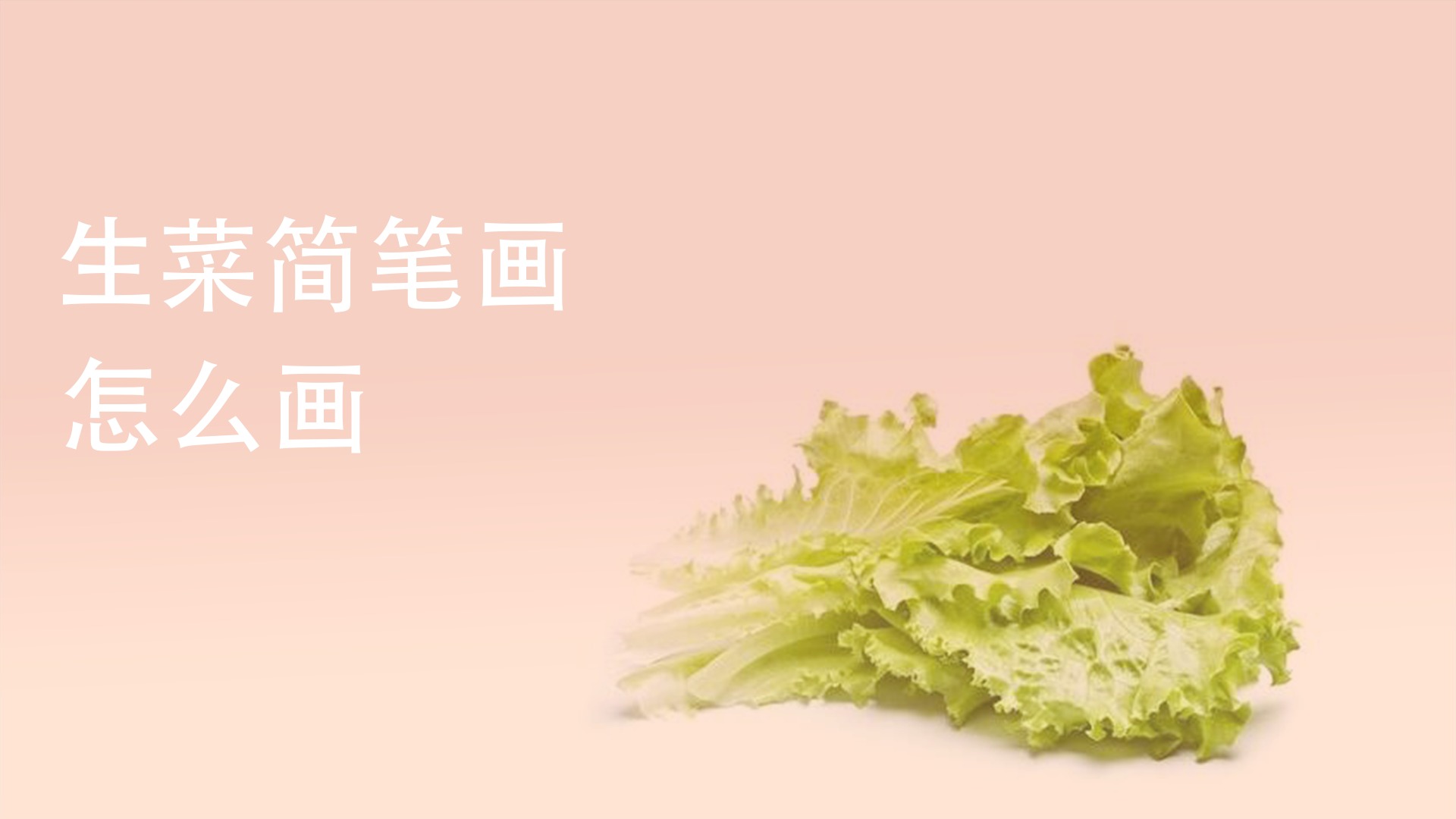 生菜简笔画怎么画