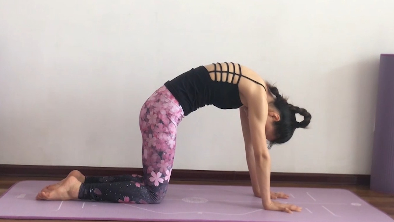 瑜伽体式猫伸展式怎么做?