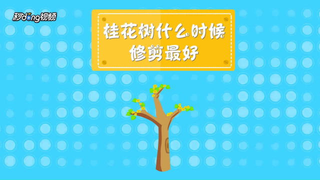 桂花树什么时候修剪最好 百度经验 桂花树什么时候修剪最好 百度经验