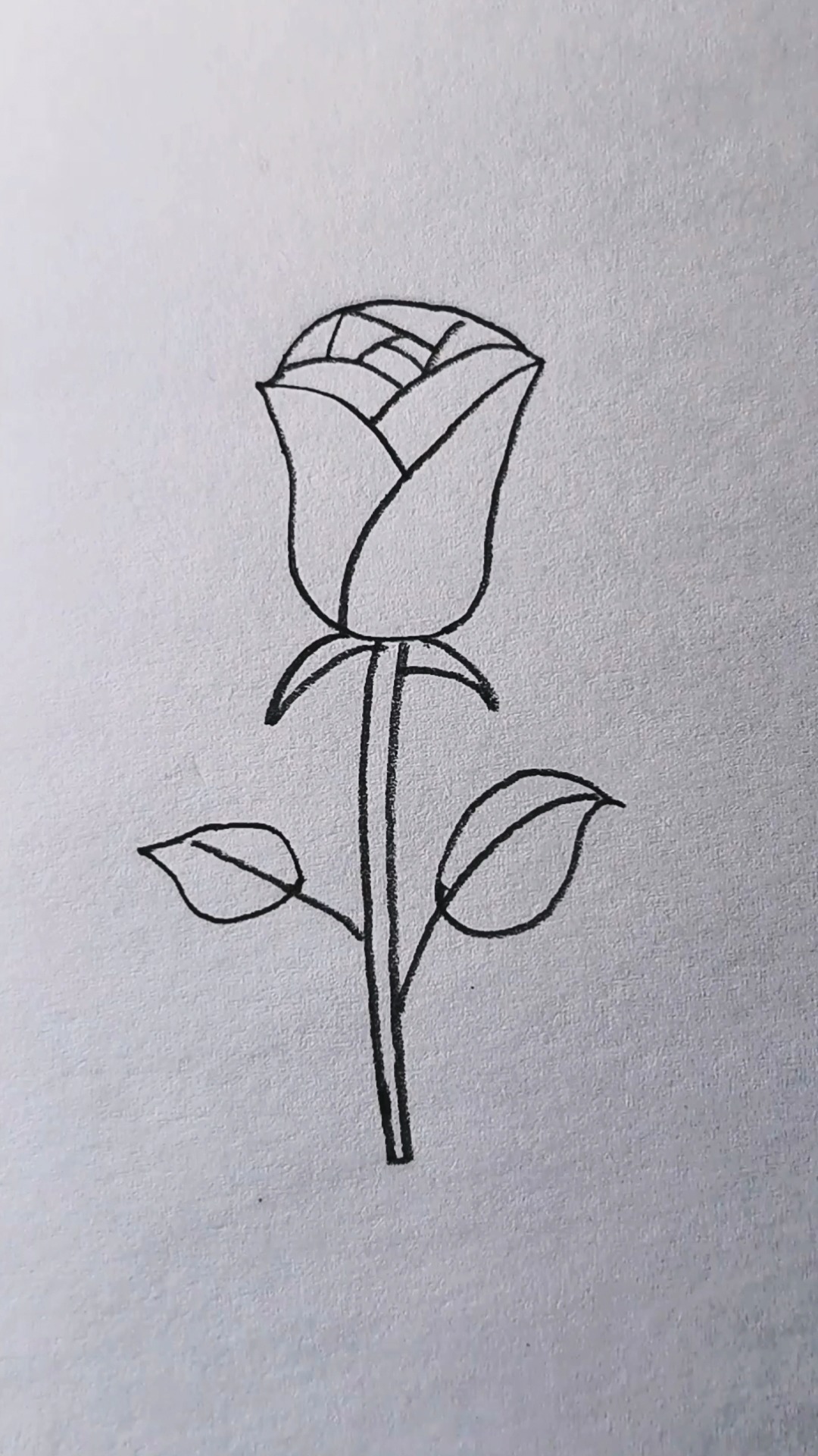 如何用字母y画玫瑰花