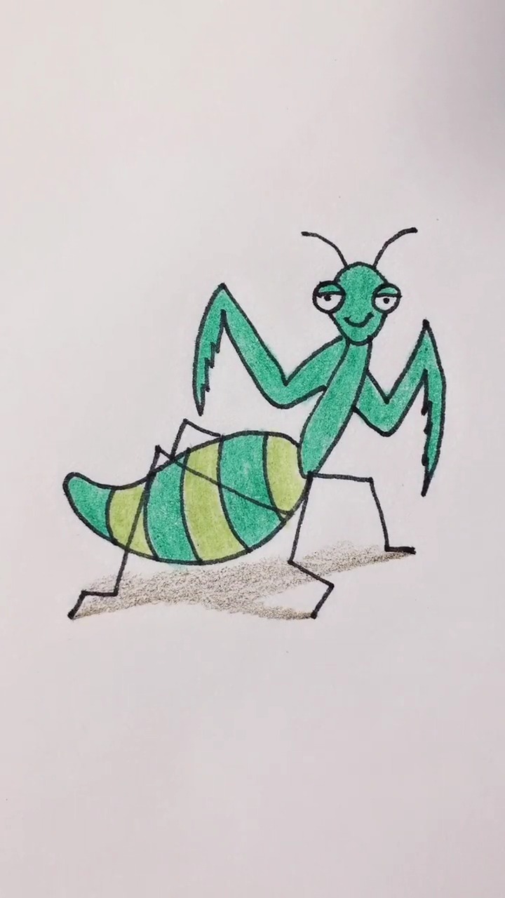螳螂 简笔画 可爱图片