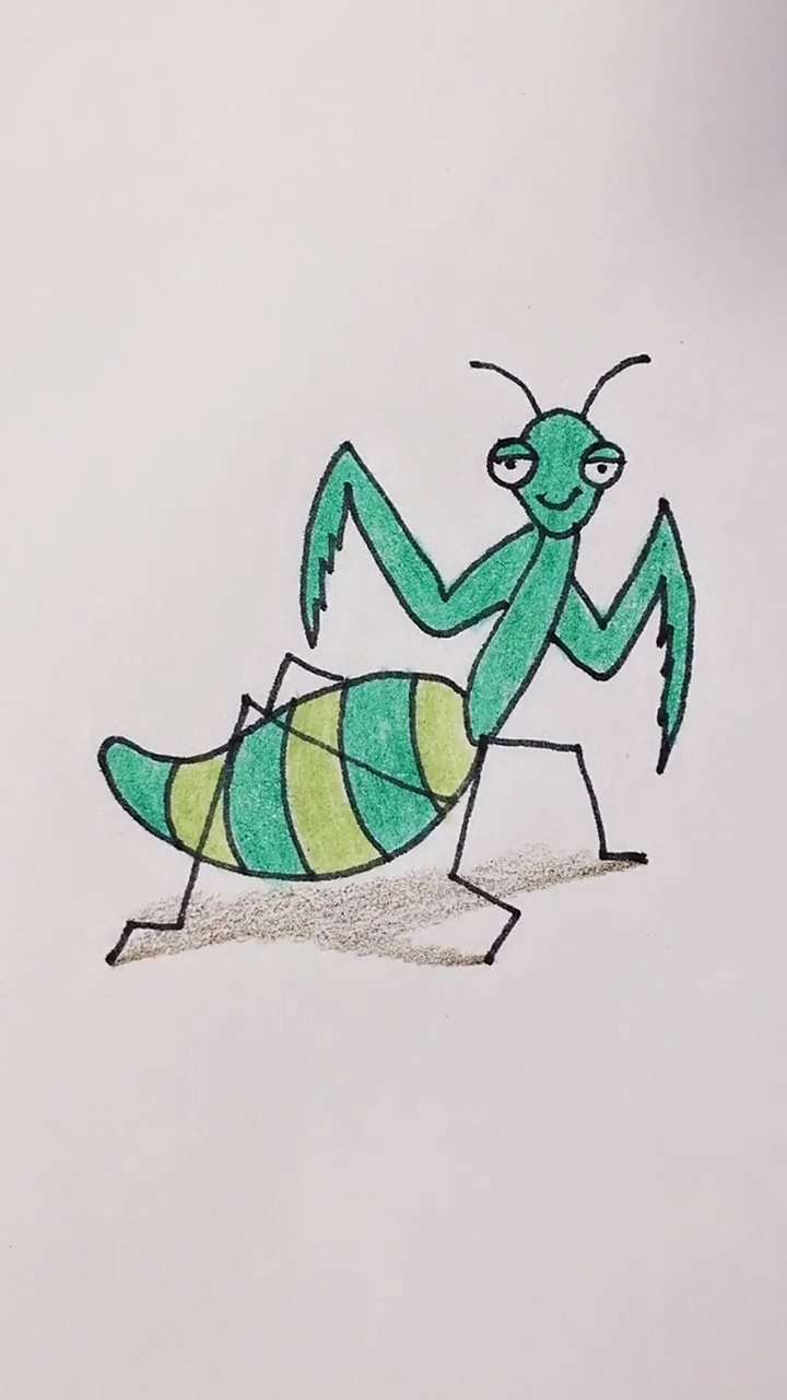 如何学画螳螂简笔画?