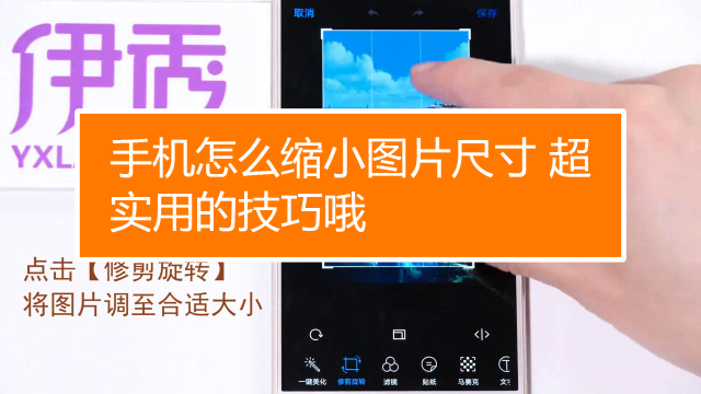 怎么调整照片大小