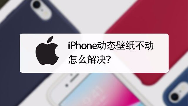 Iphone动态壁纸不动怎么解决 百度经验